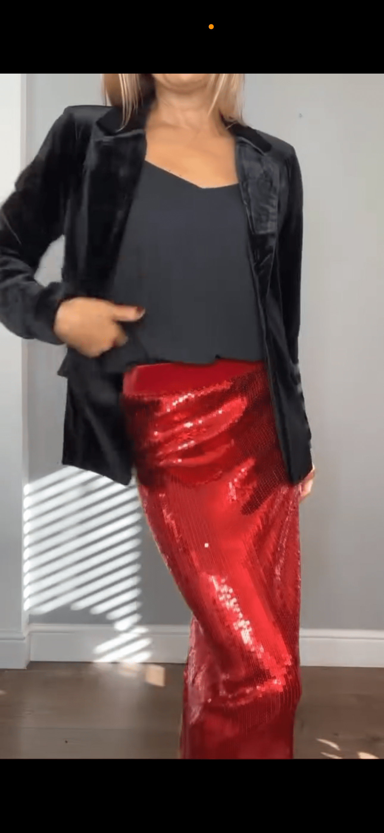Red Sequin Skirt