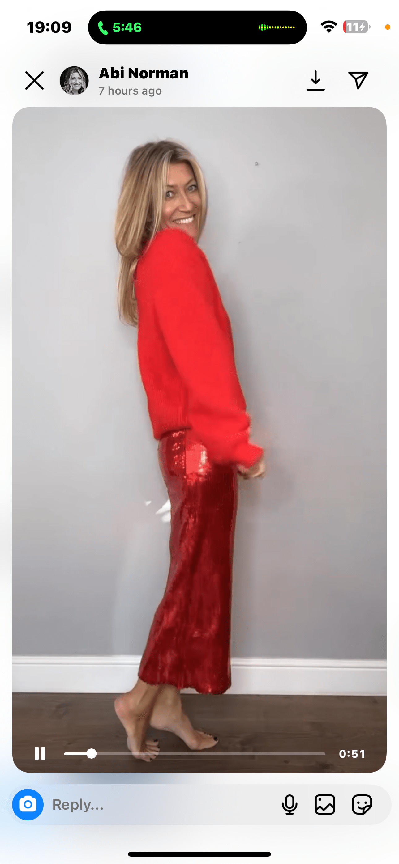 Red Sequin Skirt