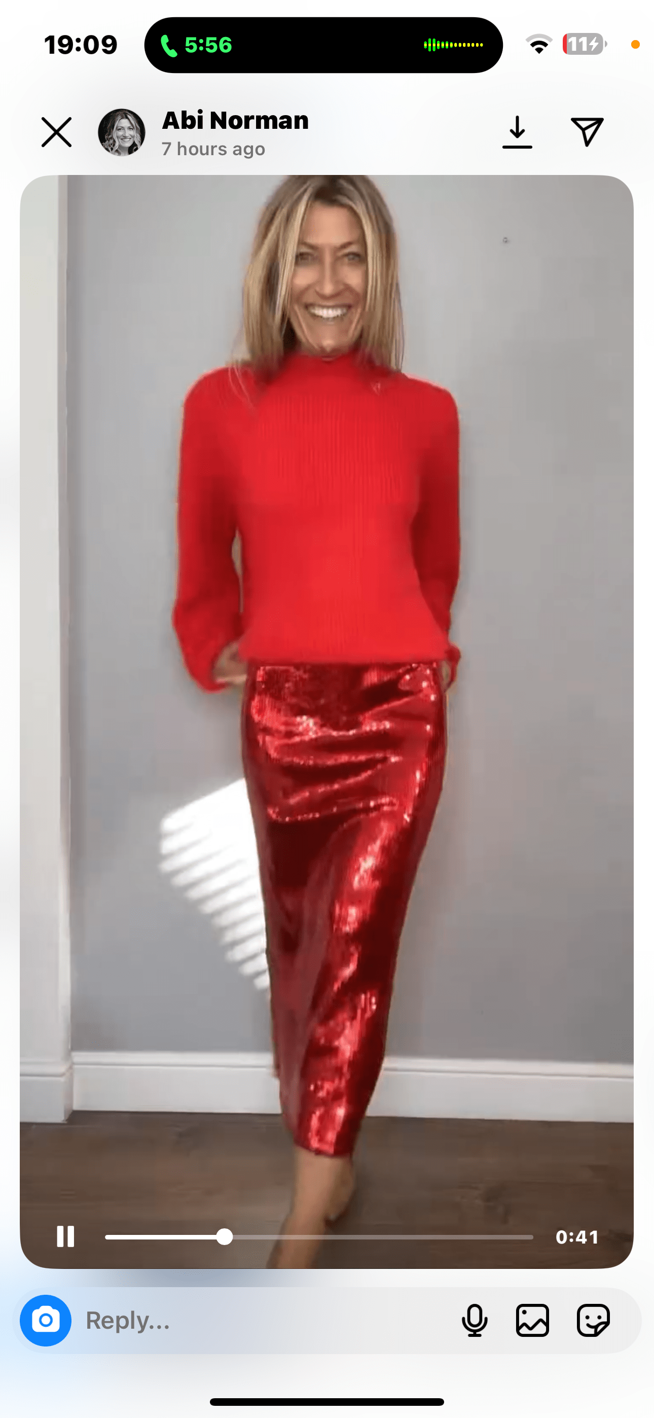 Red Sequin Skirt