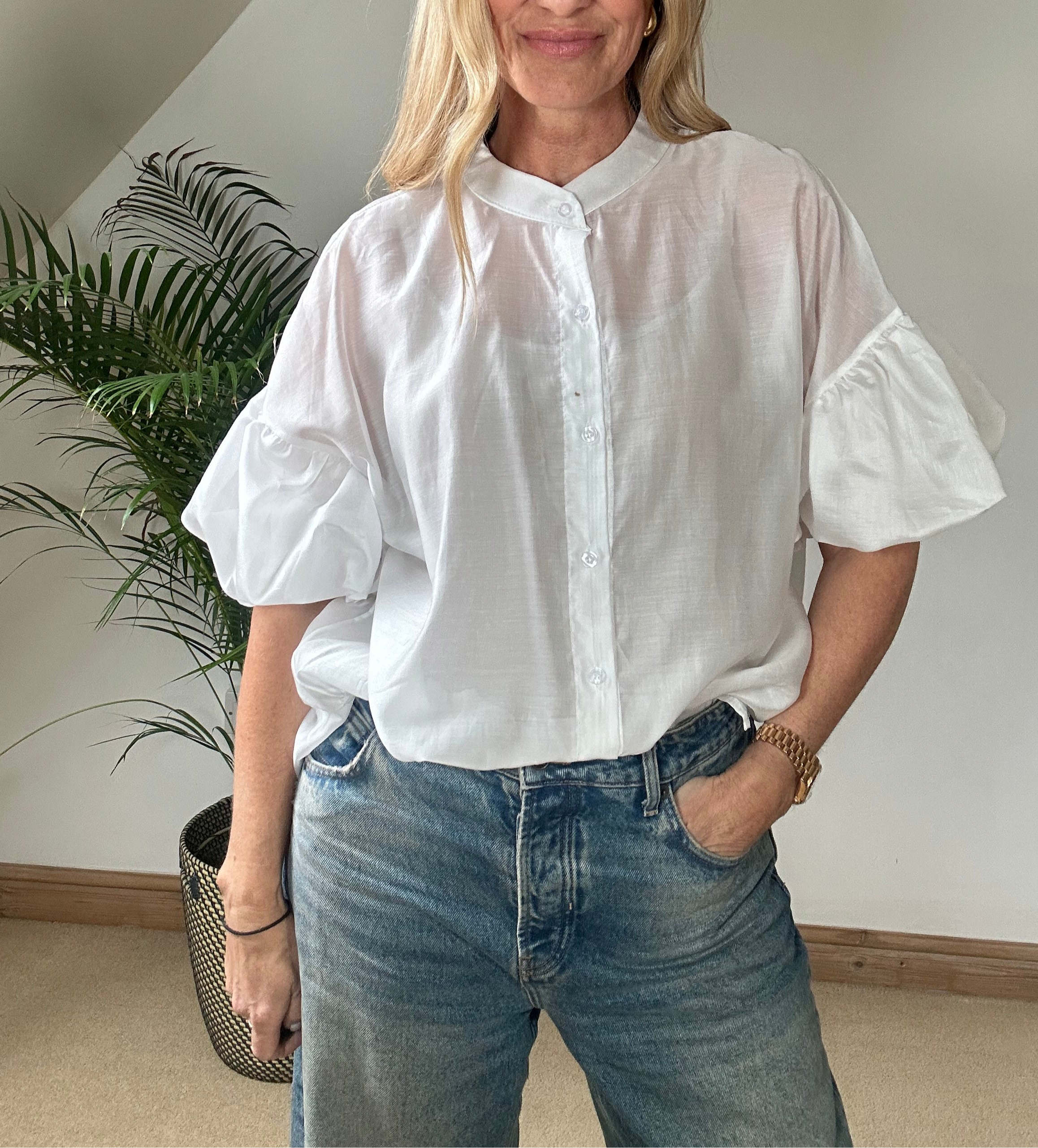 Sheer Puff Sleeve Blouse