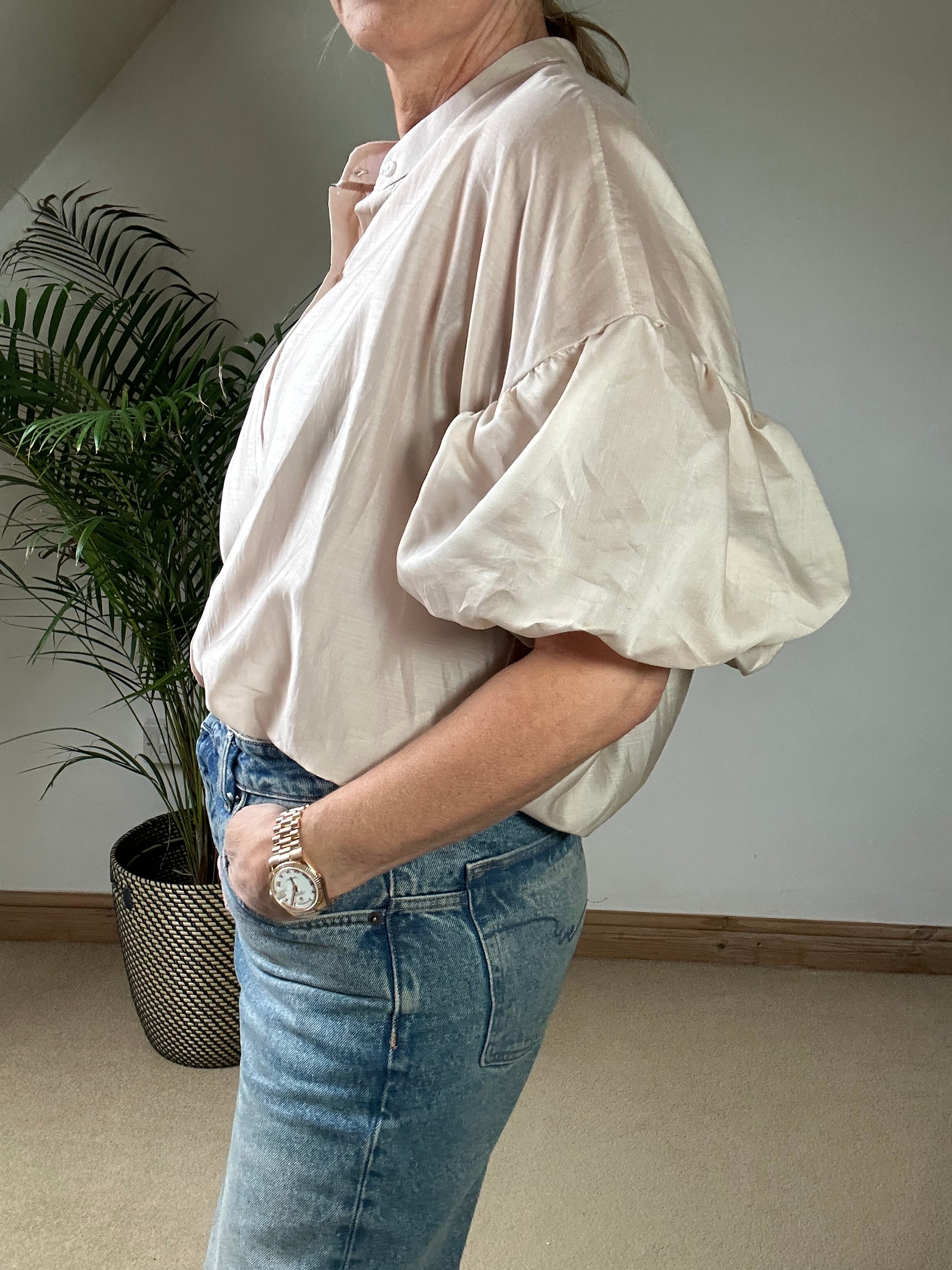 Sheer Puff Sleeve Blouse