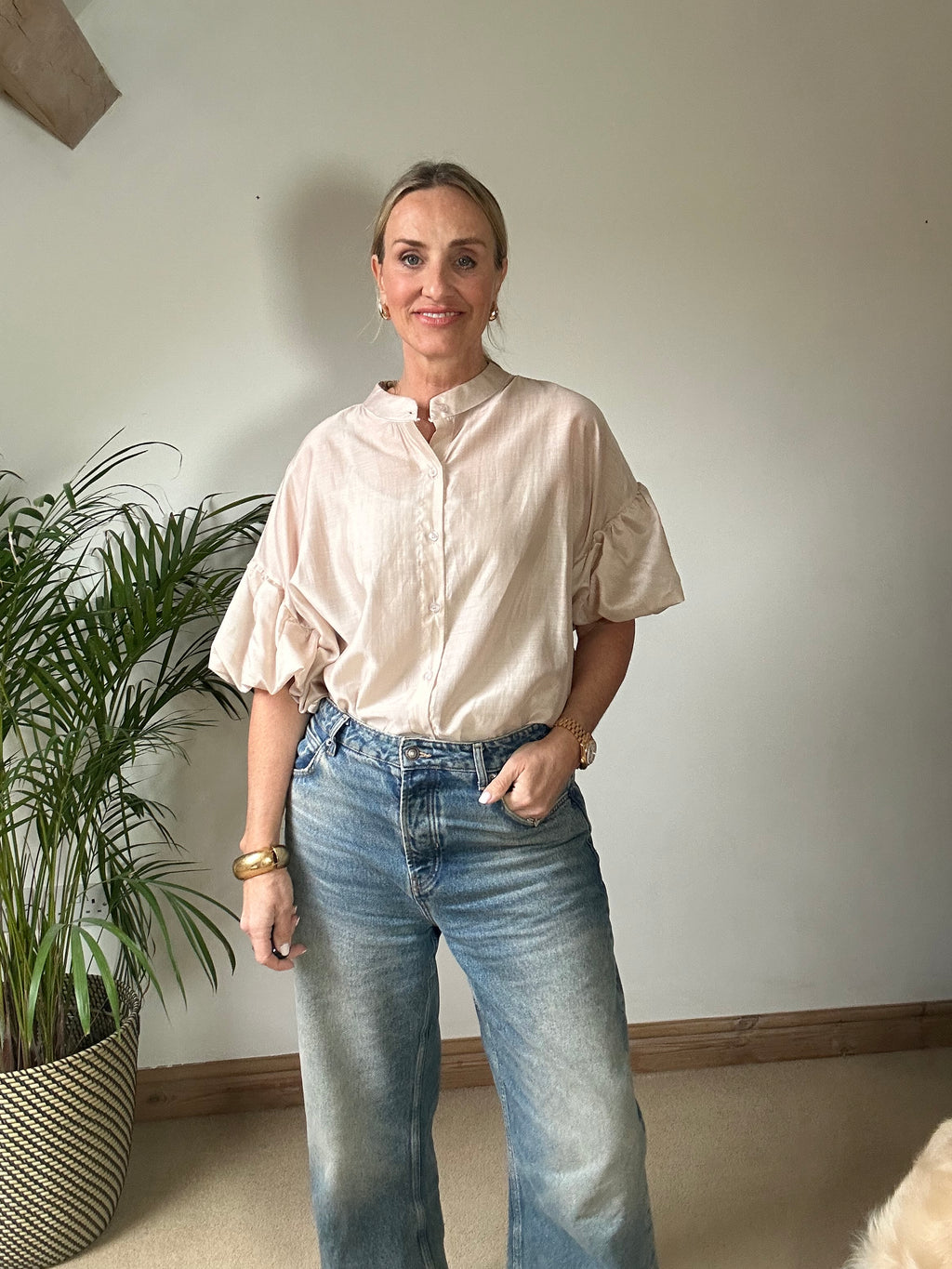 Sheer Puff Sleeve Blouse