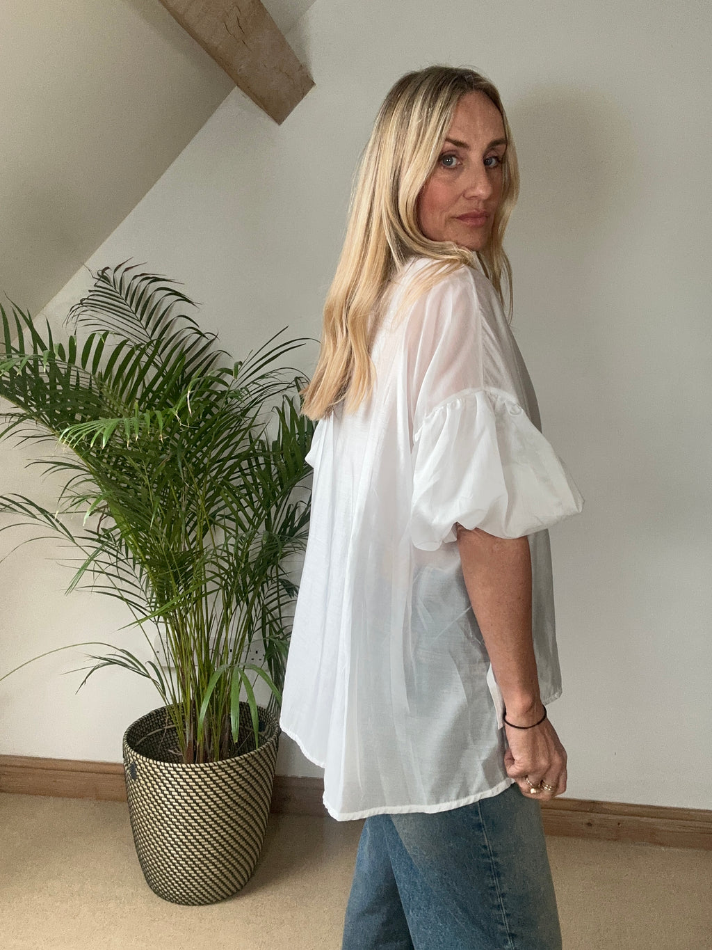 Sheer Puff Sleeve Blouse