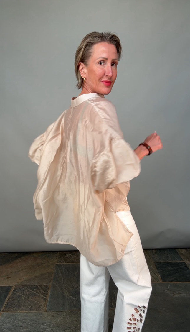 Sheer Puff Sleeve Blouse