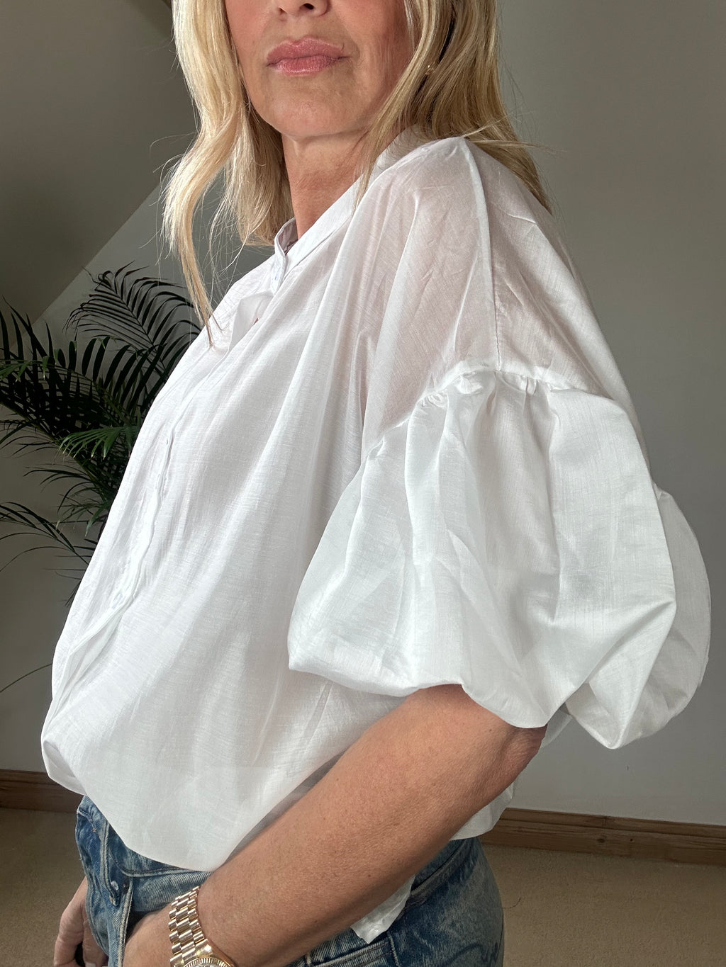 Sheer Puff Sleeve Blouse