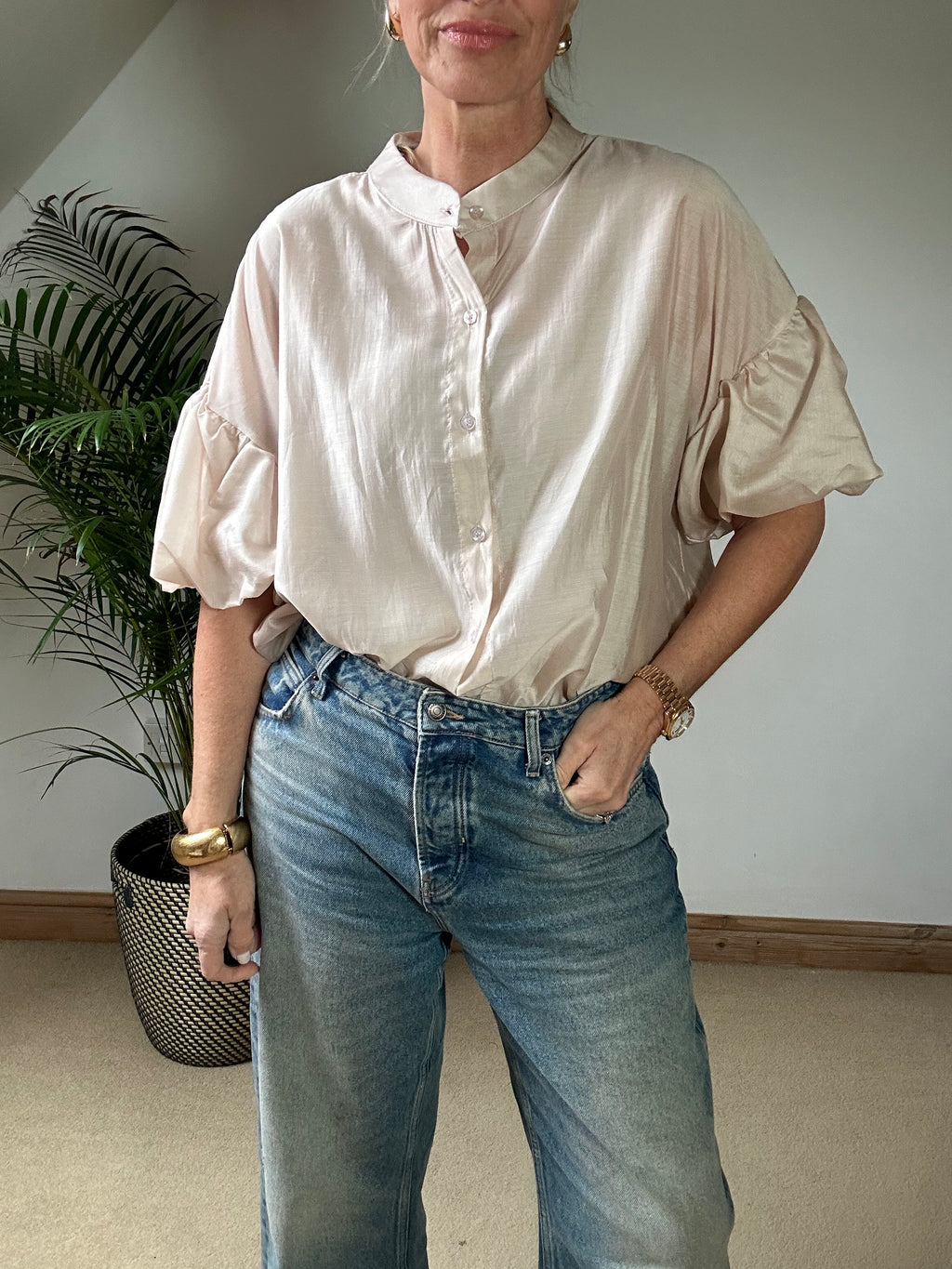 Sheer Puff Sleeve Blouse