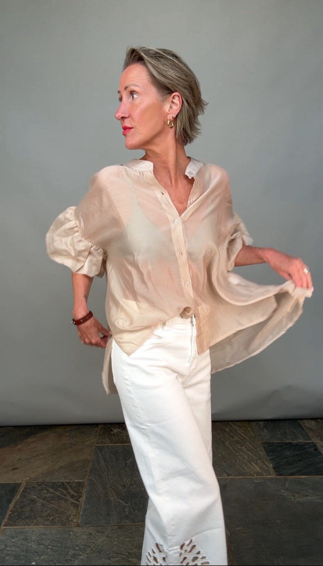 Sheer Puff Sleeve Blouse