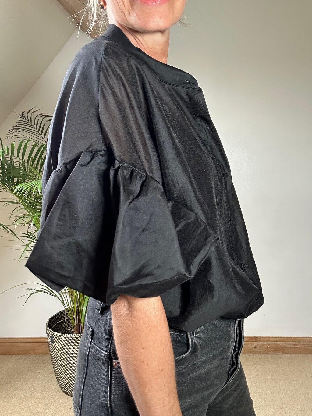 Sheer Puff Sleeve Blouse