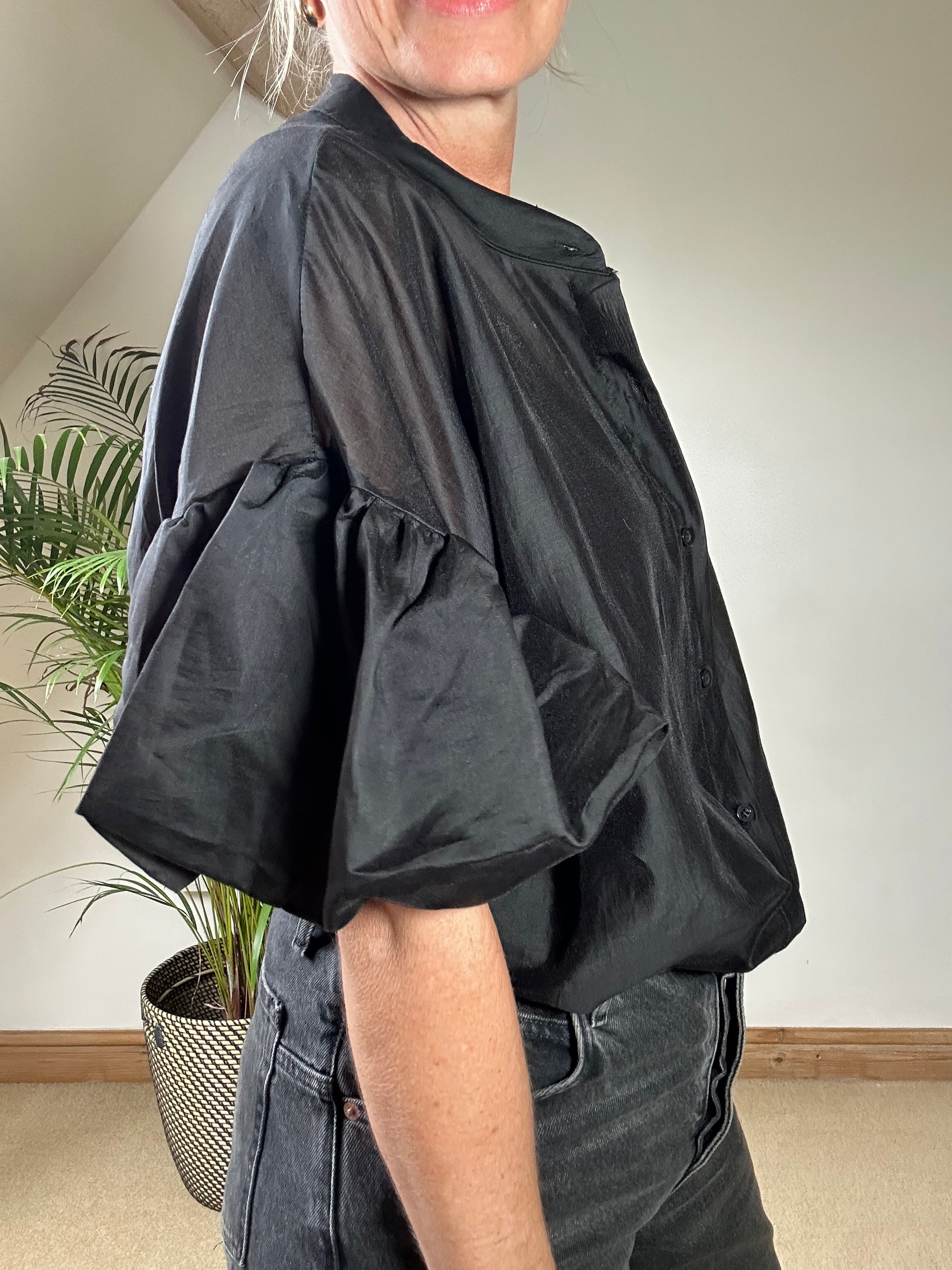 Sheer Puff Sleeve Blouse