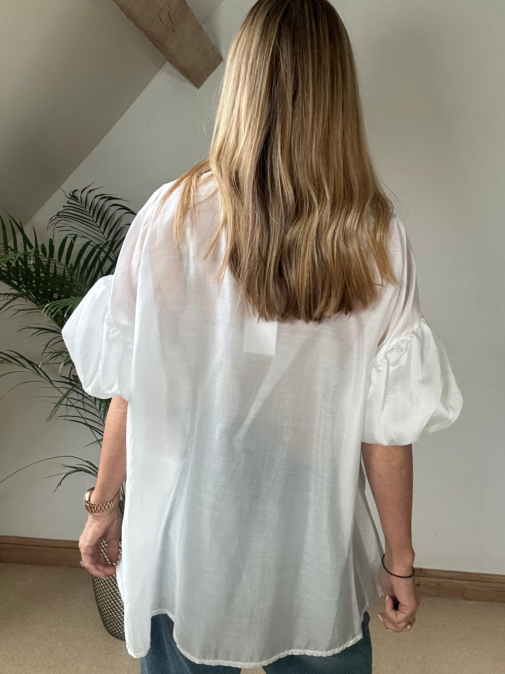 Sheer Puff Sleeve Blouse