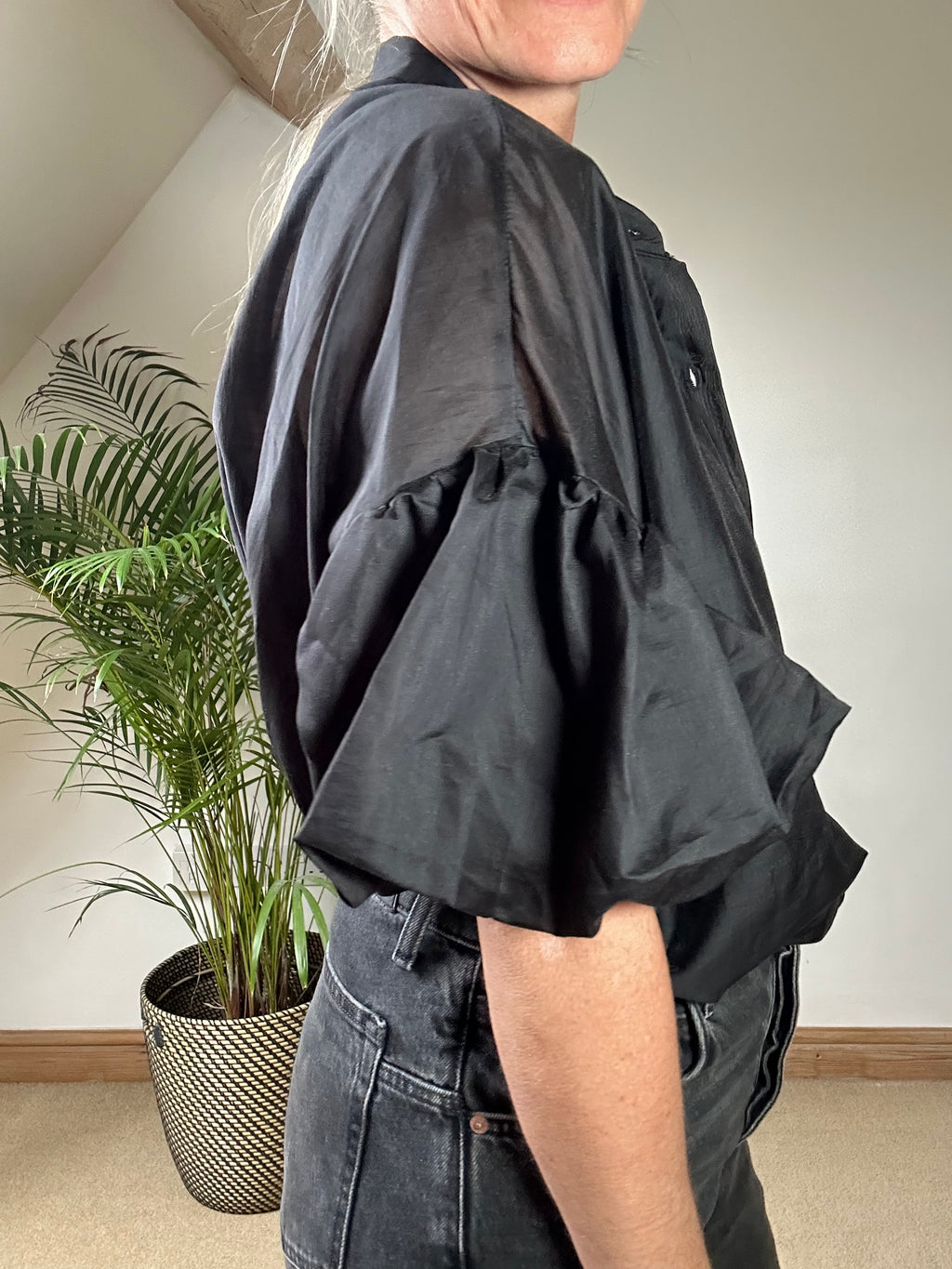 Sheer Puff Sleeve Blouse