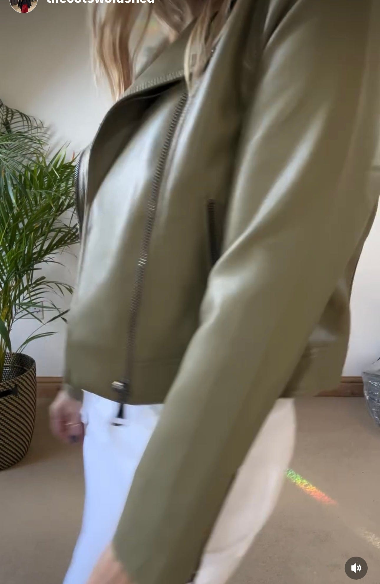Biker Jacket - Aloe