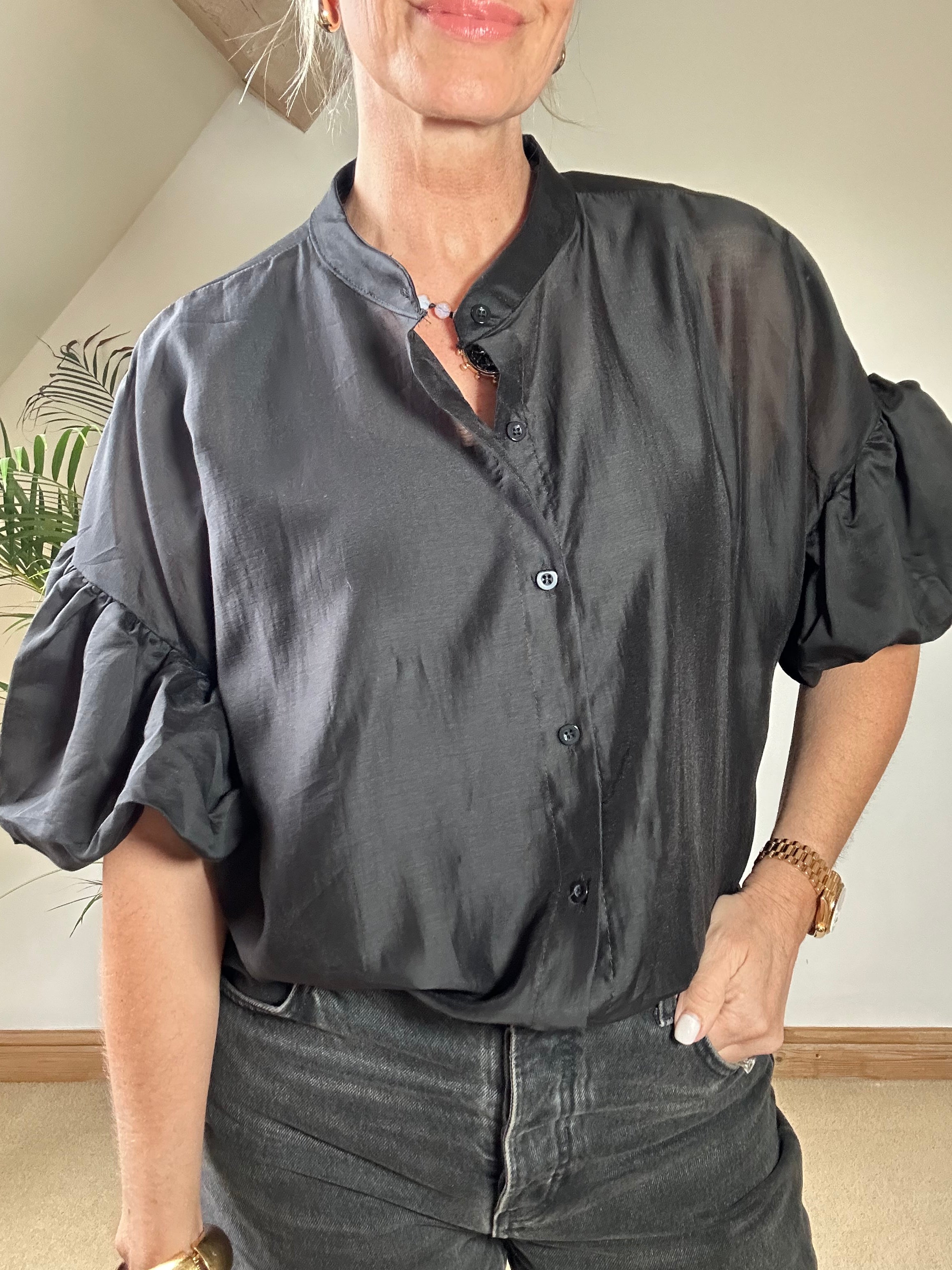 Sheer Puff Sleeve Blouse