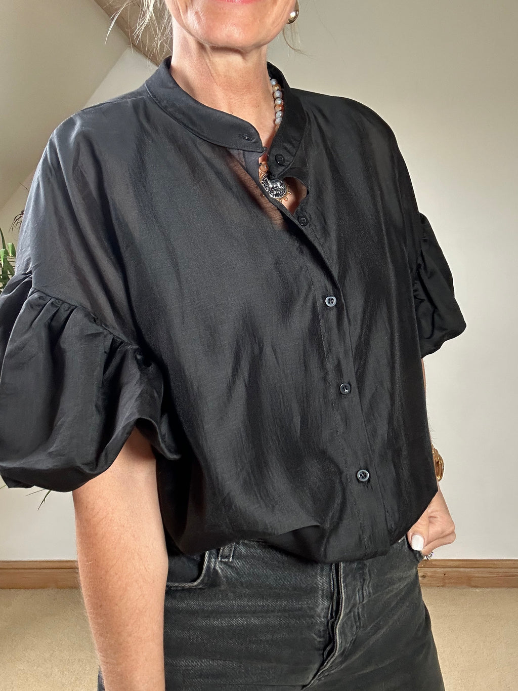 Sheer Puff Sleeve Blouse