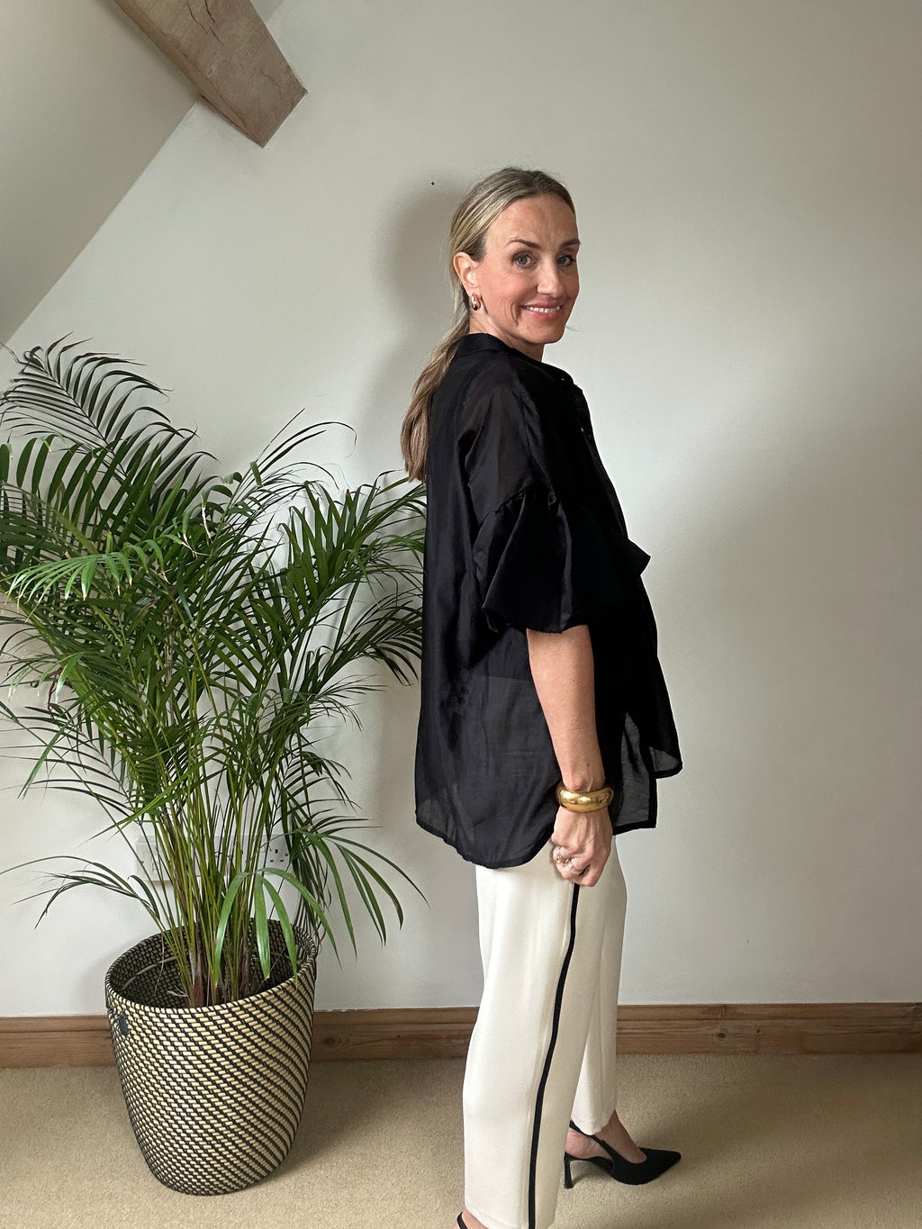 Sheer Puff Sleeve Blouse