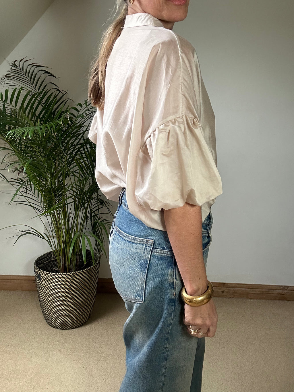 Sheer Puff Sleeve Blouse