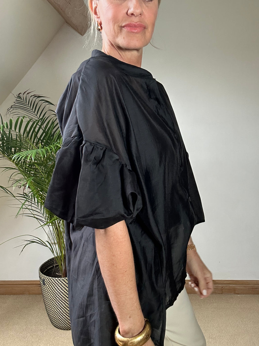 Sheer Puff Sleeve Blouse