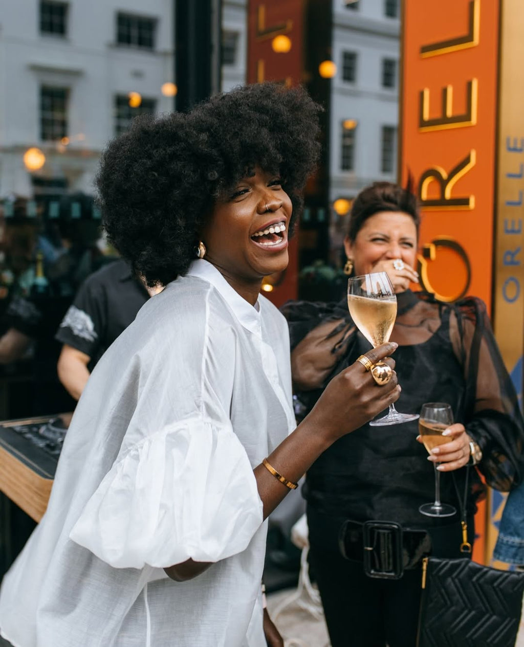 Sheer Puff Sleeve Blouse