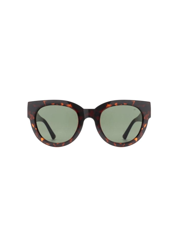 Lilly  - Tortoise